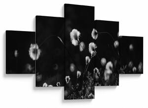 Obraz - Louka s cottongrass N⁰1 (125x70 cm)
