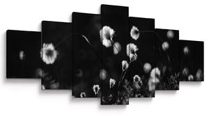 Obraz - Louka s cottongrass N⁰1 (210x100 cm)