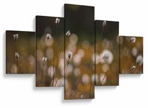 Obraz - Louka s cottongrass N⁰2 (125x70 cm)