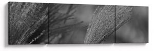Obraz - Sušená pampová tráva (170x50 cm)