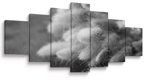 Obraz - Bunny tail grass na stole (210x100 cm)