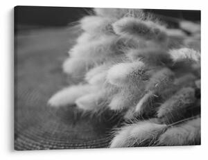 Obraz - Bunny tail grass na stole (70x50 cm)