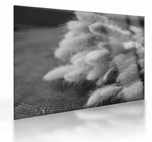 Skleněný obraz - Bunny tail grass na stole (70x50 cm)
