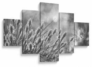 Obraz - Béžová soft grass N⁰1 (125x70 cm)