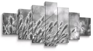 Obraz - Béžová soft grass N⁰1 (210x100 cm)