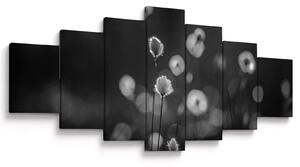 Obraz - Cottongrass na louce (210x100 cm)