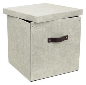 Béžová úložná krabice Bigso Box of Sweden Logan