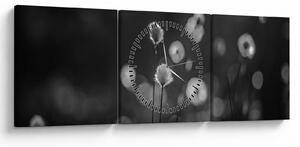 Obraz - Cottongrass na louce (s hodinami) (90x30 cm)