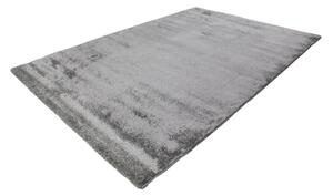 Breno Kusový koberec SOFTTOUCH 700/silver, Stříbrná, 120 x 170 cm