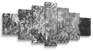 Obraz - Smrkový les (210x100 cm)