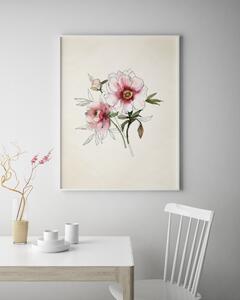 Plakát / Obraz Luční květy Pololesklý saténový papír A4 - 21 x 29,7 cm