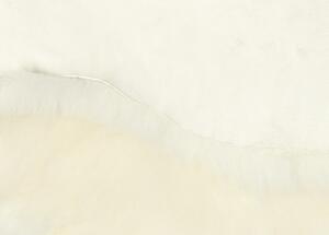 Breno Kusový koberec Ovčí kožešina velká krémově bílá, Bílá, 70 x 110 cm