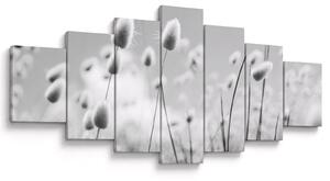 Obraz - Boho bunny tail grass (210x100 cm)