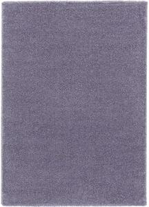 Breno Kusový koberec DOLCE VITA 01/LLL, Fialová, 67 x 110 cm