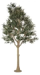 Velká umělá rostlina olivovník – 320 cm