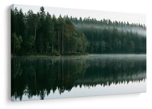 Obraz mlžné jezero v lese