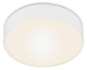 STROPNÍ LED SVÍTIDLO, 15,7/3,6 cm - Stropní svítidla