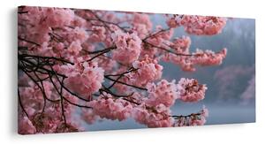 Obraz rozkvetlá sakura nad klidnou vodou