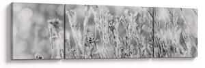 Obraz - Chladná zima (170x50 cm)