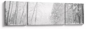 Obraz - Dřevěné molo v zimě (170x50 cm)