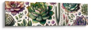 Obraz - Sukulenty (170x50 cm)