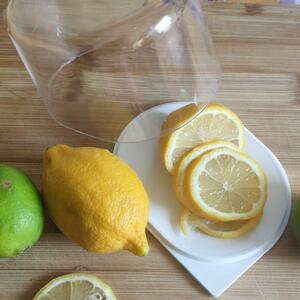ALTOM Dóza, plastový box na citrón, nádoba na uchovávání citrónů CITRÓN