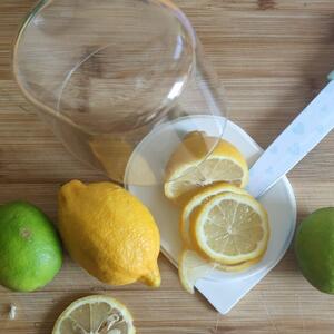 ALTOM Dóza, plastový box na citrón, nádoba na uchovávání citrónů CITRÓN