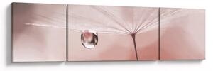 Obraz - Kapka rosy (170x50 cm)