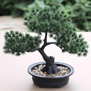 4Leaders Umělá bonsai v květináči s kamínky 27×27,6×13,5 cm