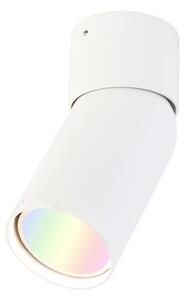 Chytrý bodový reflektor bílý nastavitelný vč. Wifi GU10 - Falo