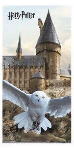 Jerry Fabrics Osuška Harry Potter Hedwig 02 70x140 cm