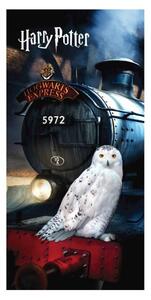 Jerry Fabrics Osuška Harry Potter Hedwig 70x140 cm