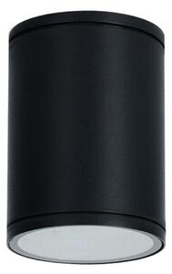 ACA Lighting venkovní stropní svítidlo E27 PAR30, černé, IP65, 230V, max. 15W