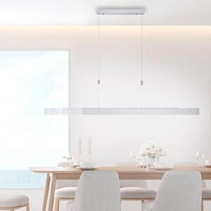 Paul Neuhaus Závěsné LED svítidlo PURE-MOTO, 3x13W, d. 120 cm, 2700-5000K, nastavitelné Barva: Hliník