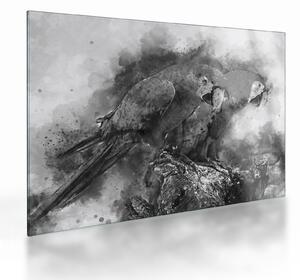Skleněný obraz - Akvareloví papoušci (70x50 cm)