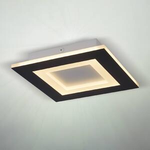 Searchlight LED stropní svítidlo Squary, délka 39 cm, černé/bílé železo,, stmívatelný, Černá, Obývací pokoj / jídelna, kov, Moderní