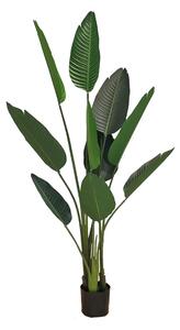 Artificial pot plant Strelicja 155cm