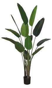 Artificial pot plant Strelicja 220cm