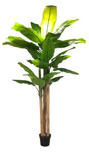 Artificial tree Bananowiec 250cm