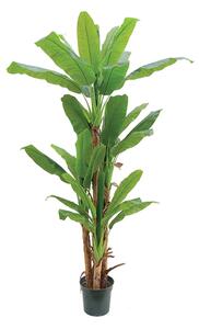 Artificial tree Bananowiec 200cm