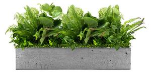 Flowerpot insert Fresh Rain