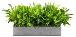 Flowerpot insert Nature Pride