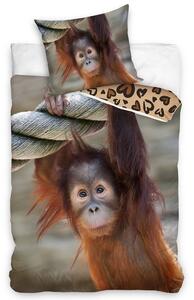 Bavlněné povlečení 140x200 + 70x90 cm - Opice Orangutan