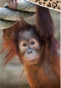 Bavlněné povlečení 140x200 + 70x90 cm - Opice Orangutan