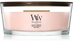 Woodwick Coastal Sunberry vonná svíčka s dřevěným knotem 453.6 g