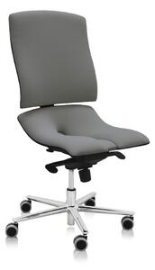 Zdravotní židle Steel Standard, šedá