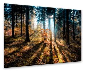 Obraz Styler Glasspik Autumn Sunset, 70 x 100 cm