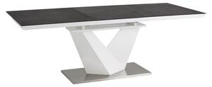 Jídelní stůl Alaras II 120 × 80 cm, šedá / bílá