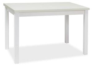 Jídelní stůl Adam 100 x 60 cm, bílá