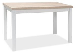 Jídelní stůl Adam 100 x 60 cm, dub sonoma / bílá